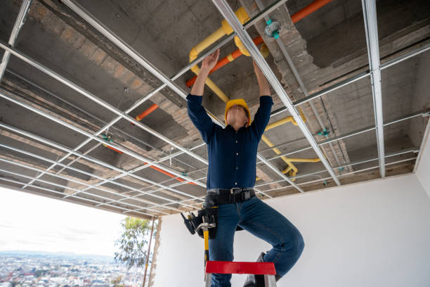 Best Local Plumber Services  in Dale, IN