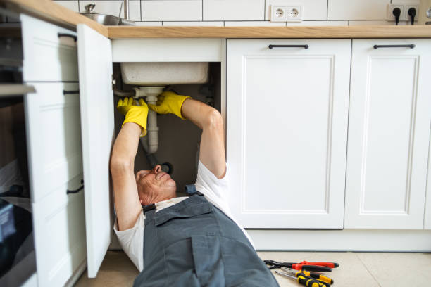 Best Sewer Line Repair  in Dale, IN